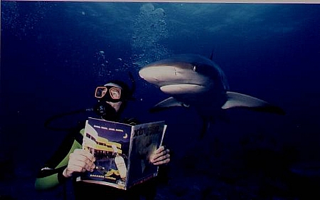 Shark Diving for Xtreme Magazine cover, New Providence Island, Caribbean