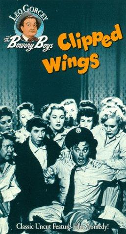 Jean Dean, Leo Gorcey, Anne Kimbell, Renie Riano, Elaine Riley, Fay Roope, Mary Treen and June Vincent in Clipped Wings (1953)
