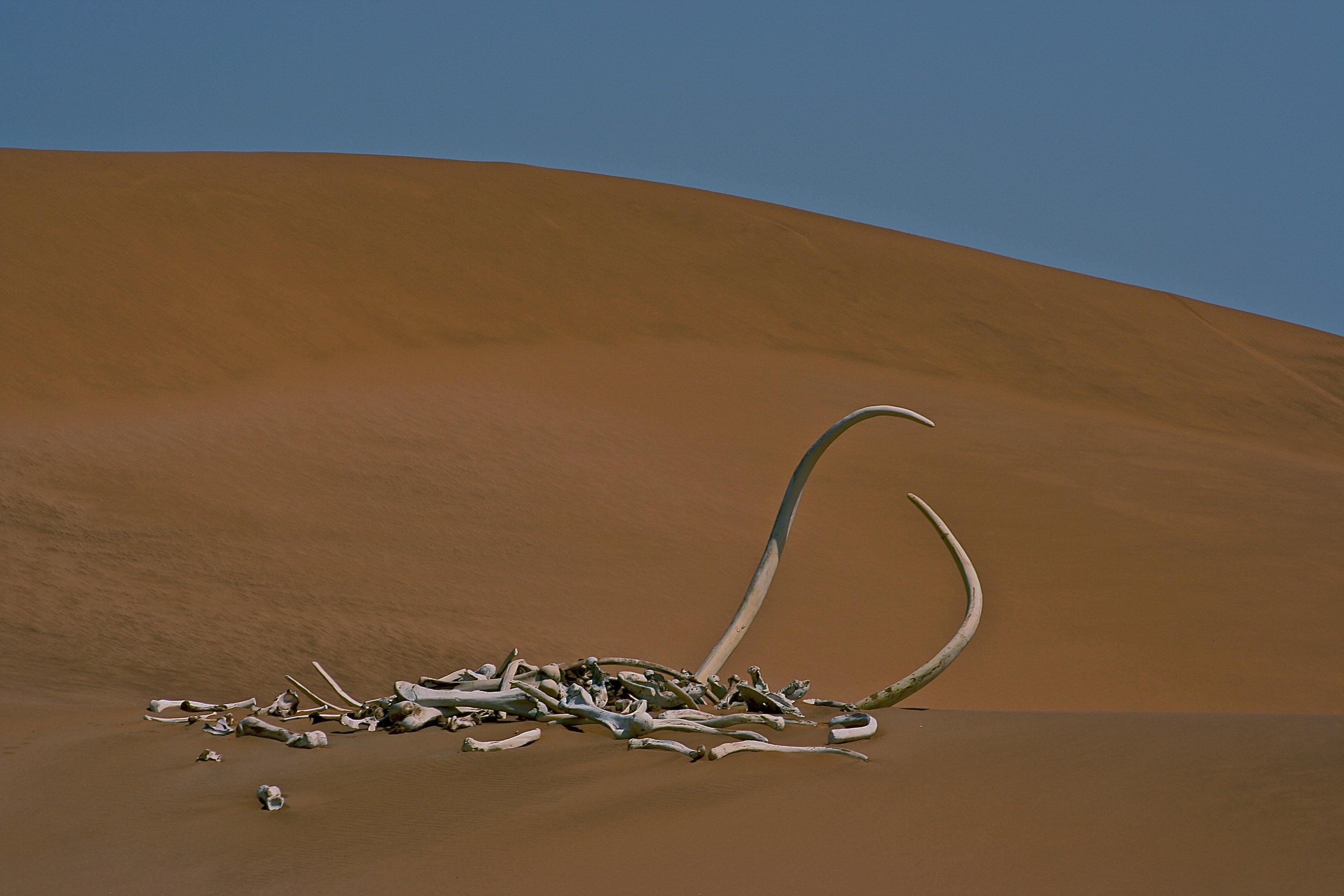 MAMMOTH GRAVEYARD, 10 000 BC