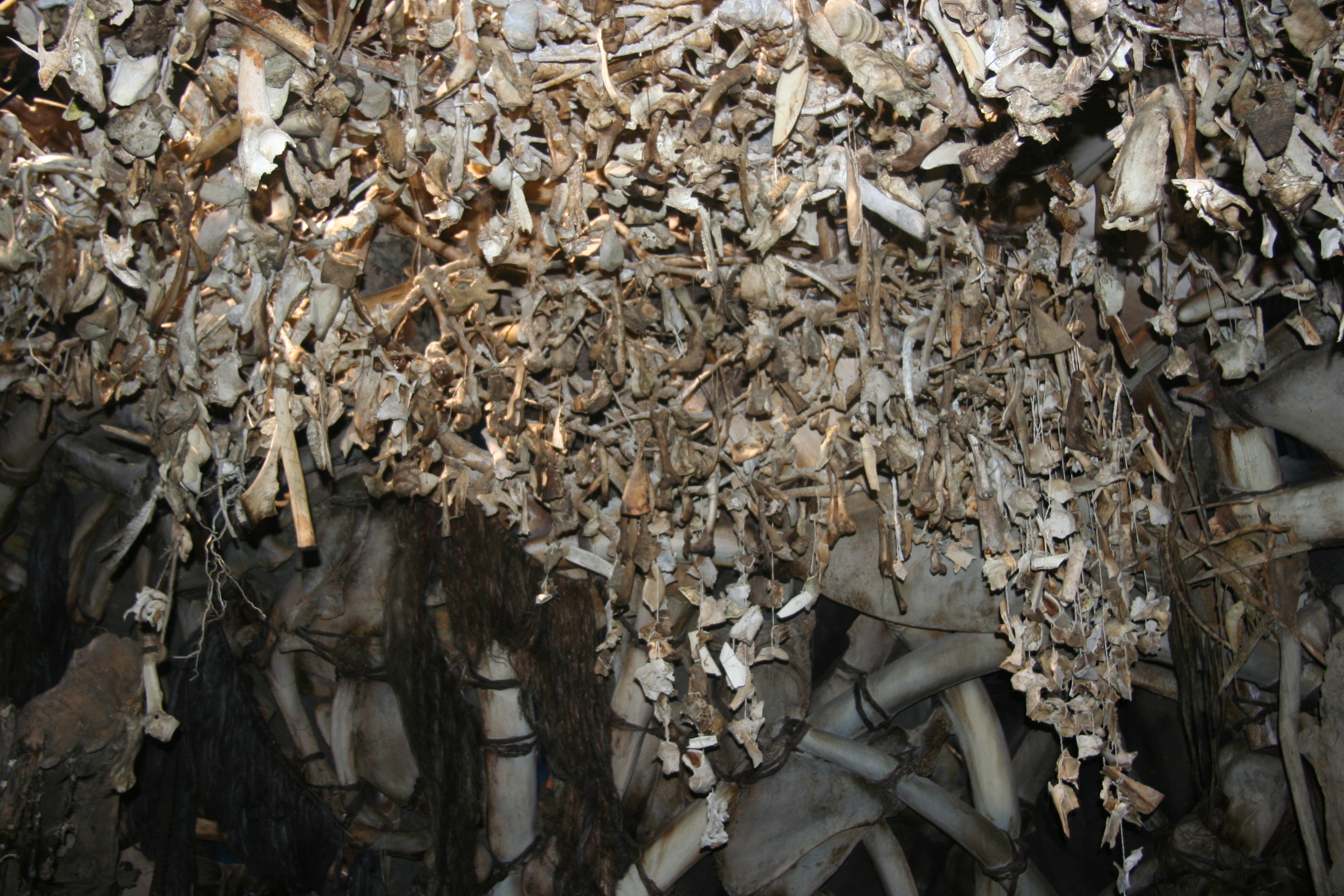 Old Mother's hut, ceiling detail, 10 000 BC