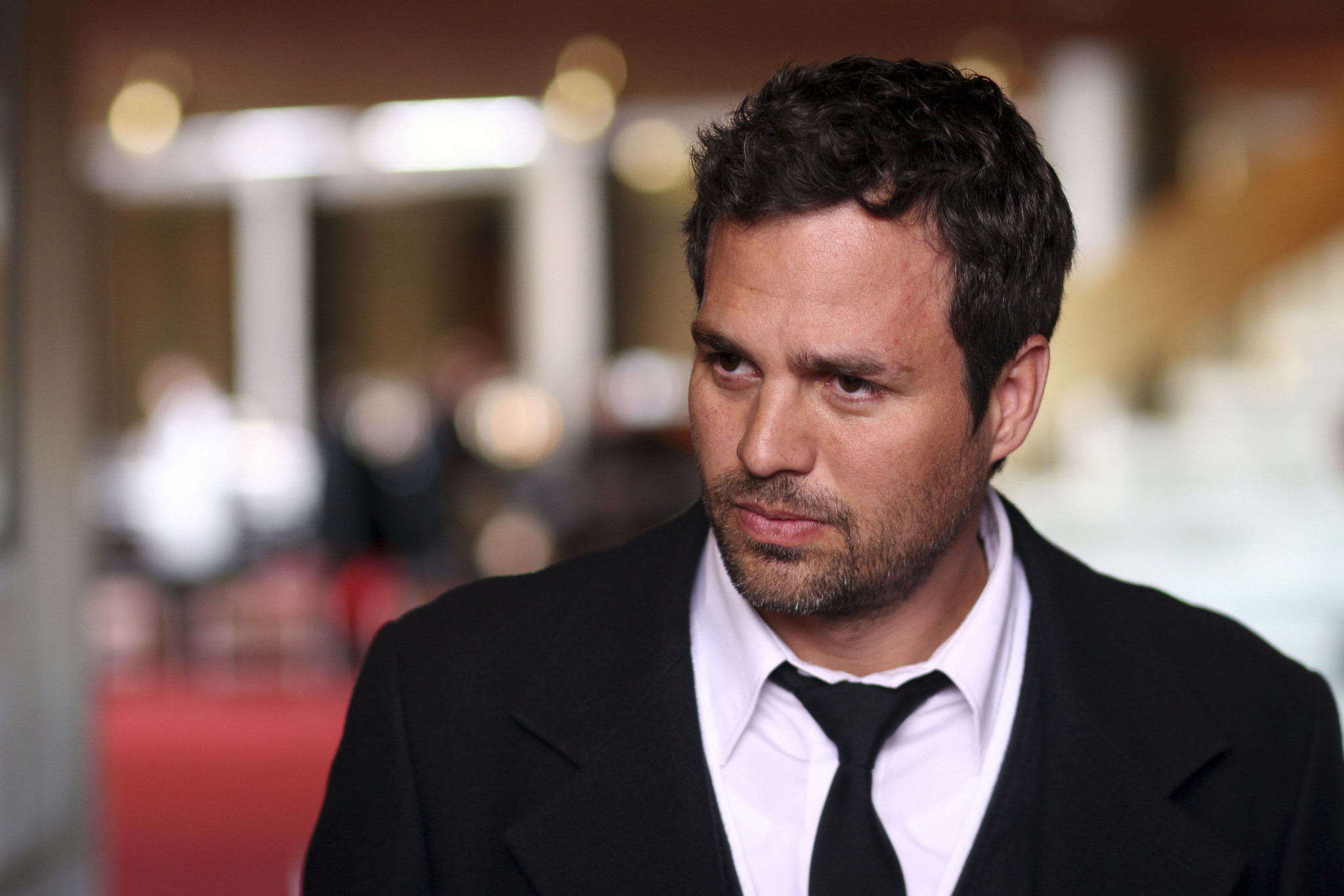 Still of Mark Ruffalo in The Brothers Bloom (2008)