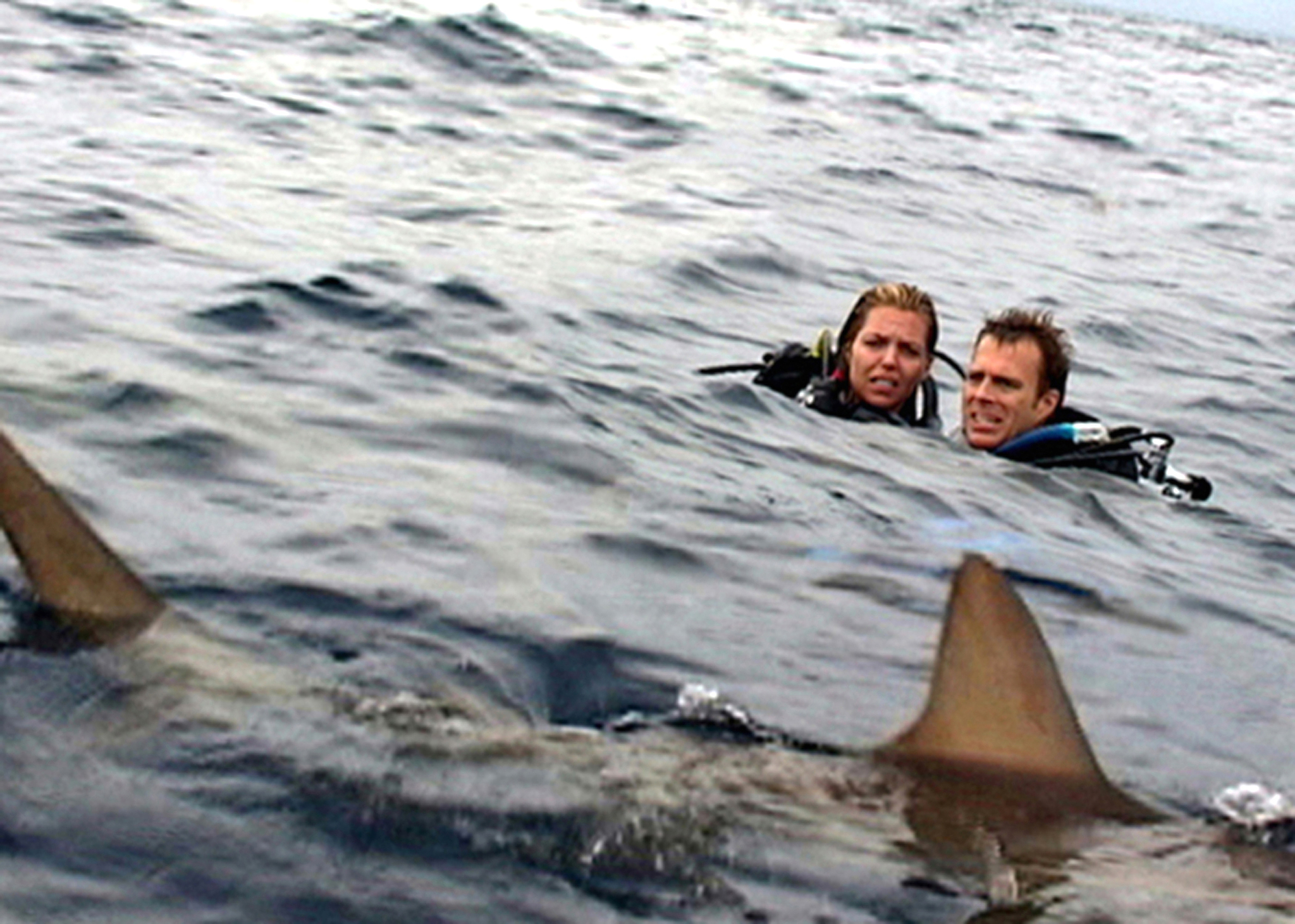 Still of Blanchard Ryan and Daniel Travis in Open Water (2003)
