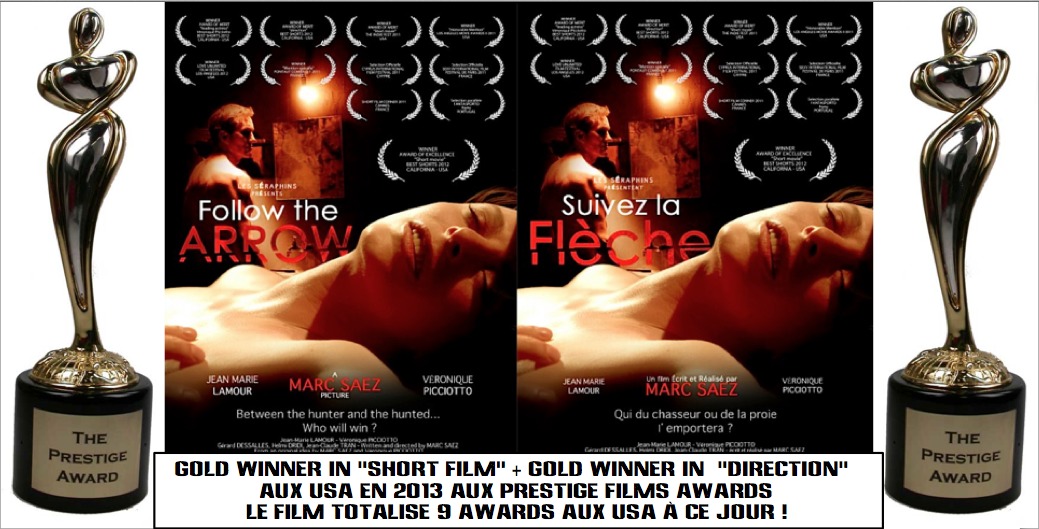 FOLLOW THE ARROW written directed and produced by Marc SAEZ 9 AWARDS US