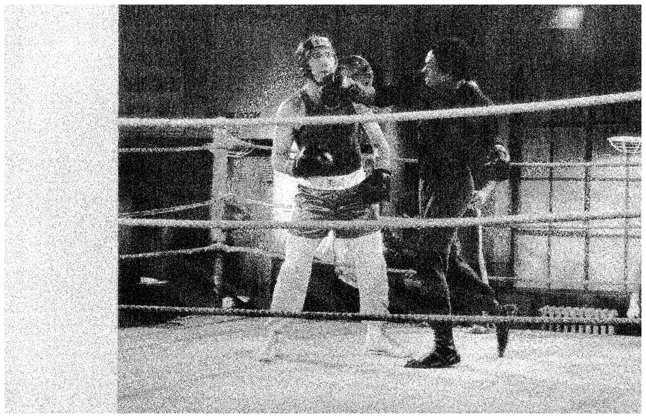 Rodney (Carl the Boxer)hits actor Judd Hirsch (Alex) with a vicious over hand right in a scene from the hit comedy 