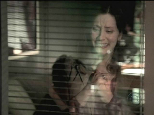 Heidi Schooler on CSI-NY, as Megan Tanner in episode 