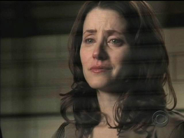 Heidi Schooler as Megan Tanner on CSI-NY in episode 