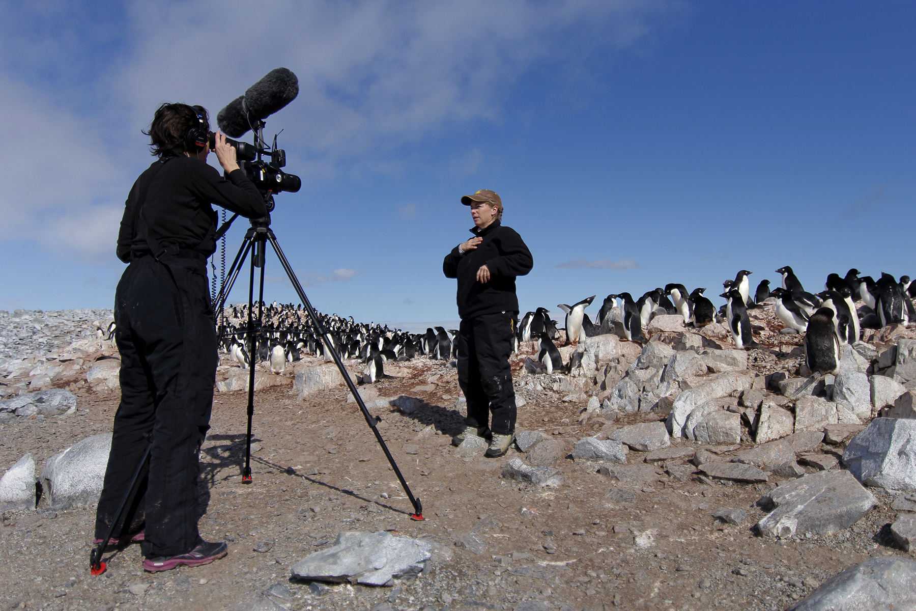 Dena interviews penguin biologist Donna Fraser in Antarctica