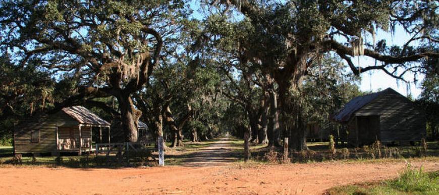 Slave Cabins circa 1850