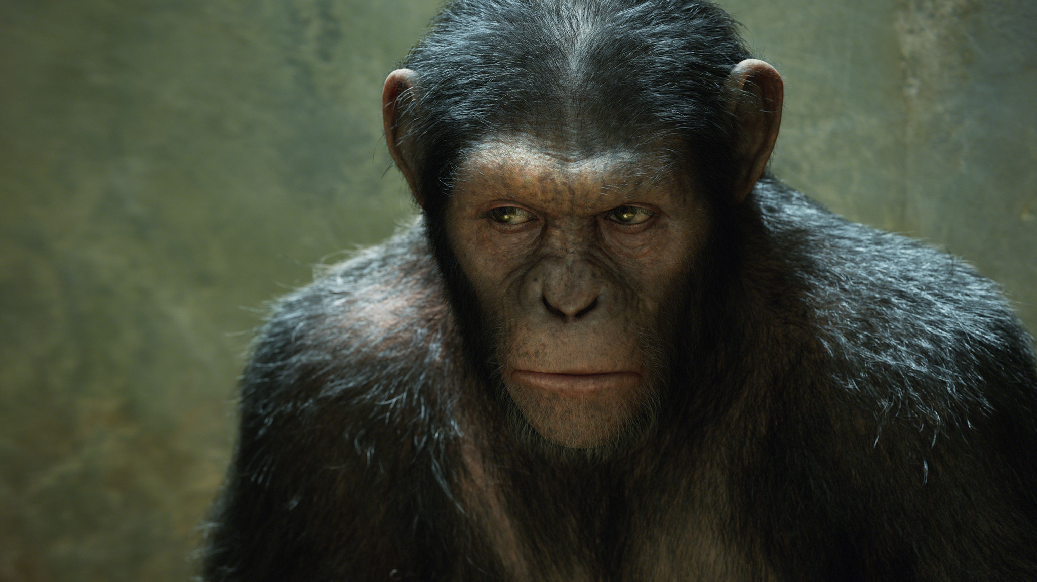 Still of Andy Serkis in Bezdzioniu planetos sukilimas (2011)