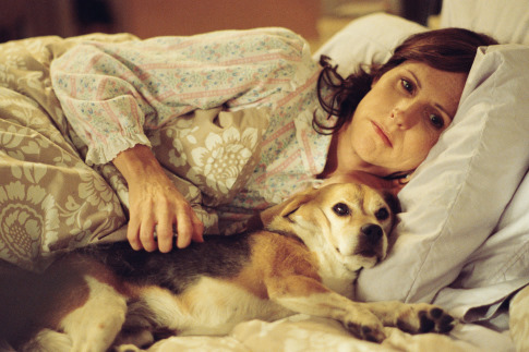 Still of Molly Shannon in Year of the Dog (2007)