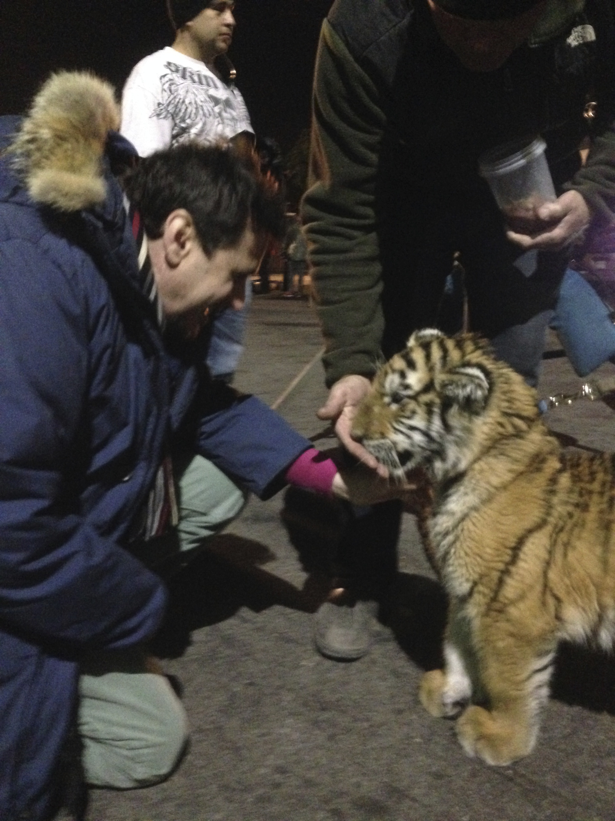 JD Shapiro and a Tiger buddy on the set of 
