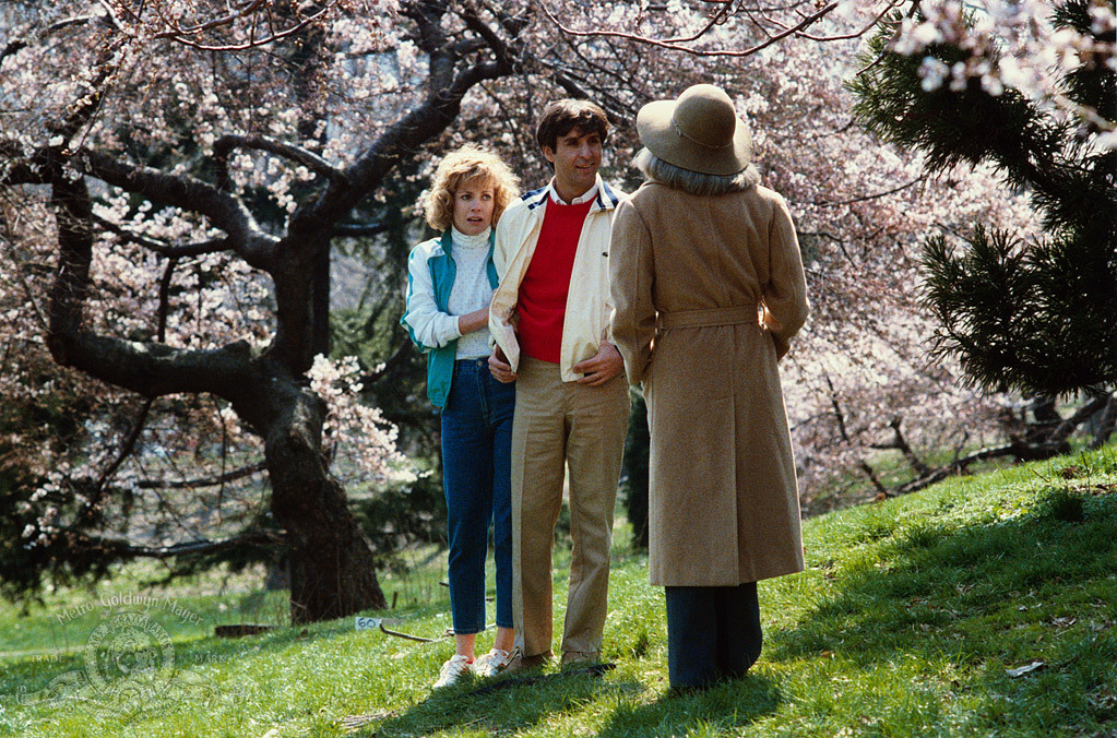 Still of Catherine Hicks and Ron Silver in Garbo Talks (1984)