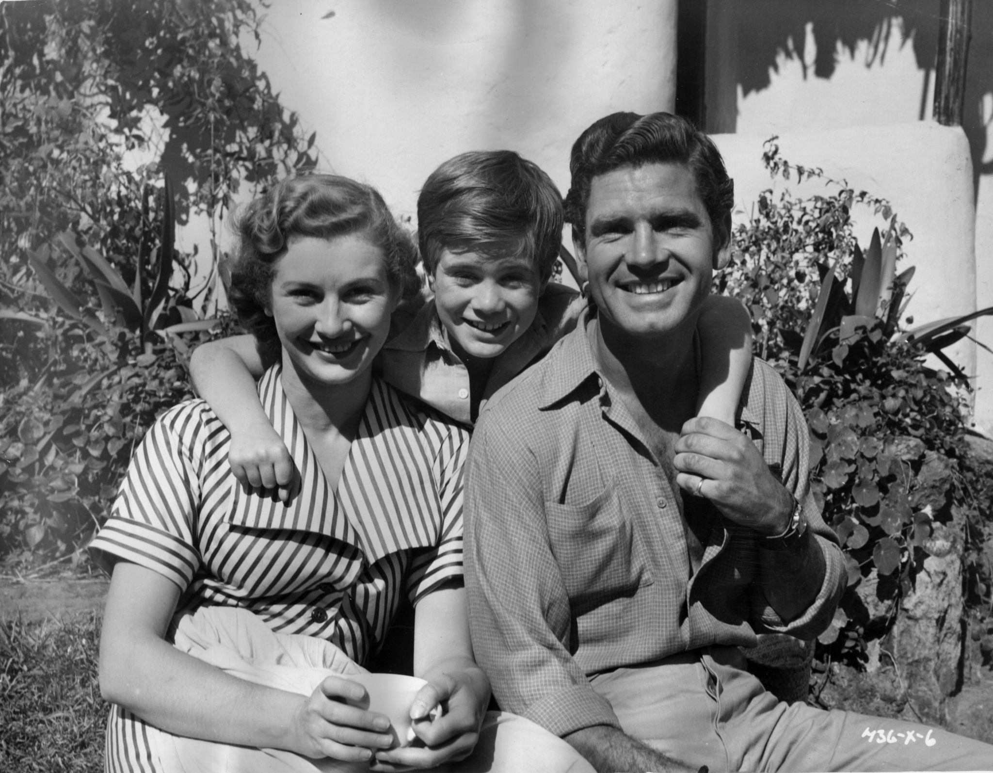 Dinah Sheridan, William Simons and Anthony Steel at event of Where No Vultures Fly (1951)