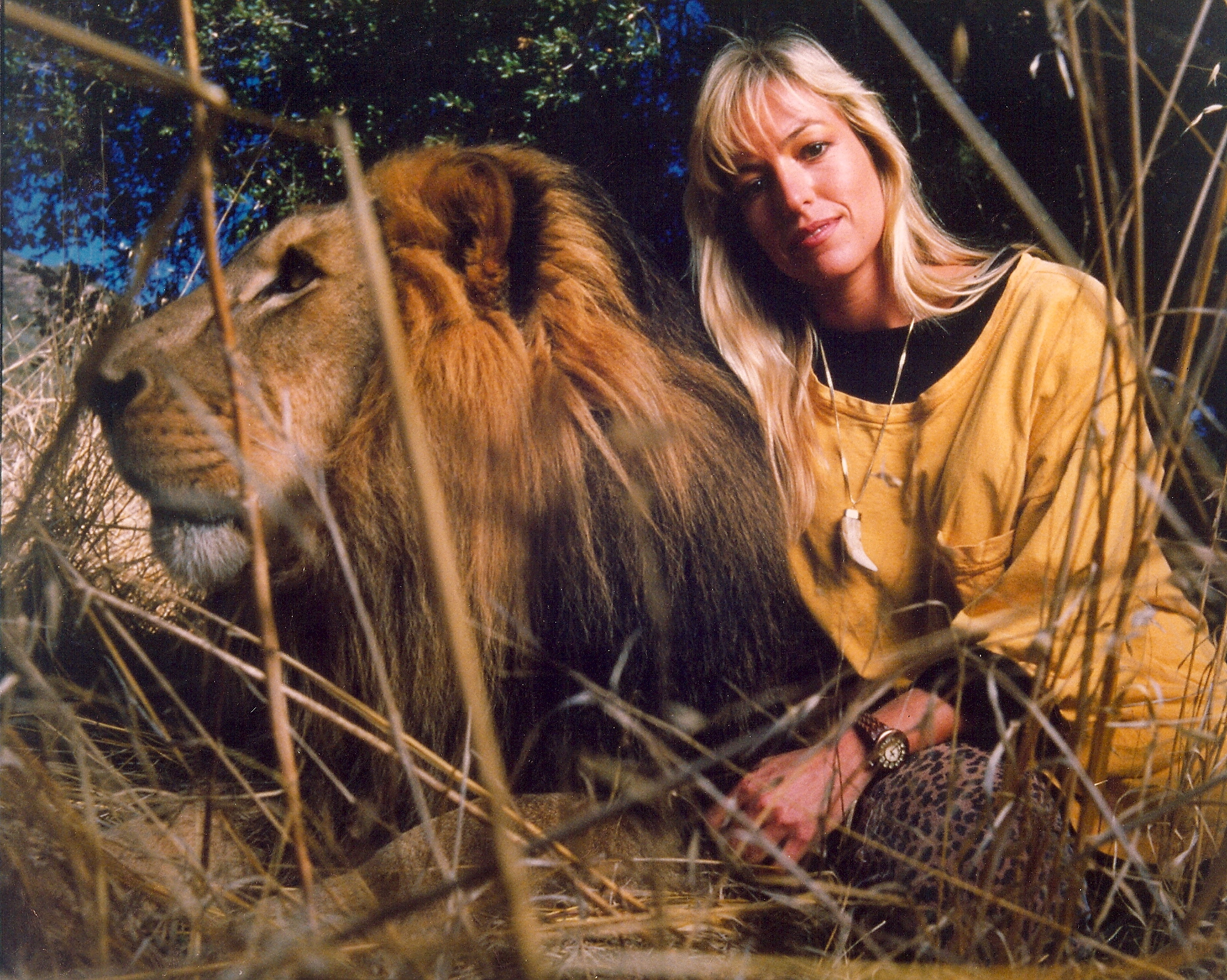 with Sudan, favorite lion