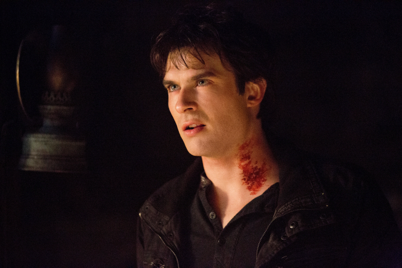 Still of Ian Somerhalder in Vampyro dienorasciai (2009)