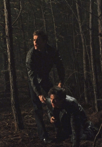 Still of Ian Somerhalder and Paul Wesley in Vampyro dienorasciai (2009)
