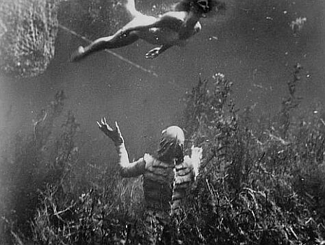 Kay swims over the creature