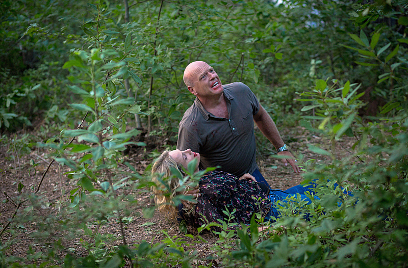 Still of Dean Norris and Sherry Stringfield in Under the Dome (2013)