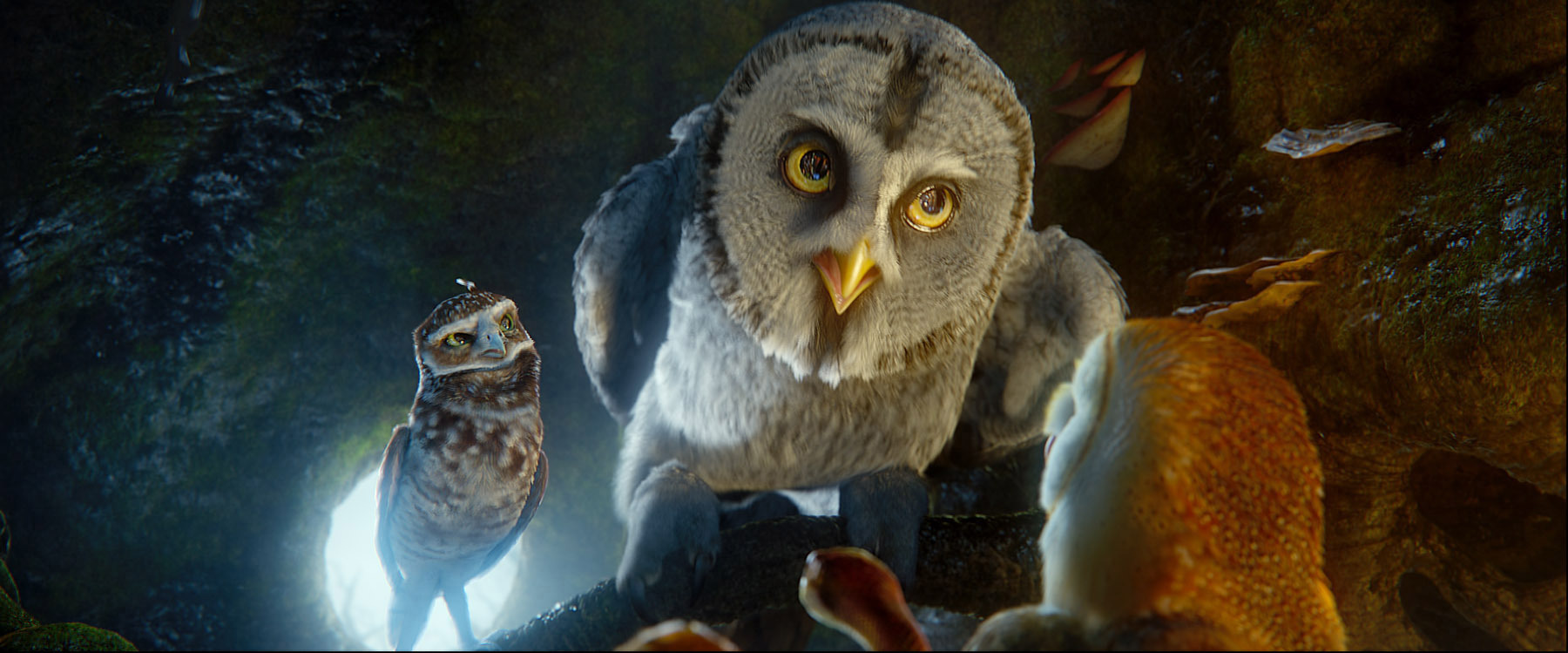 Still of Miriam Margolyes, Jim Sturgess and David Wenham in Legend of the Guardians: The Owls of Ga'Hoole (2010)