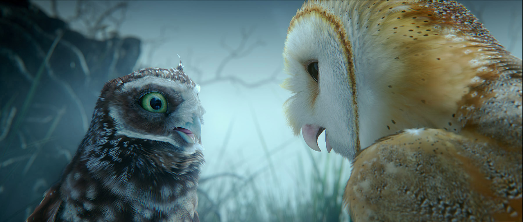Still of Jim Sturgess and David Wenham in Legend of the Guardians: The Owls of Ga'Hoole (2010)