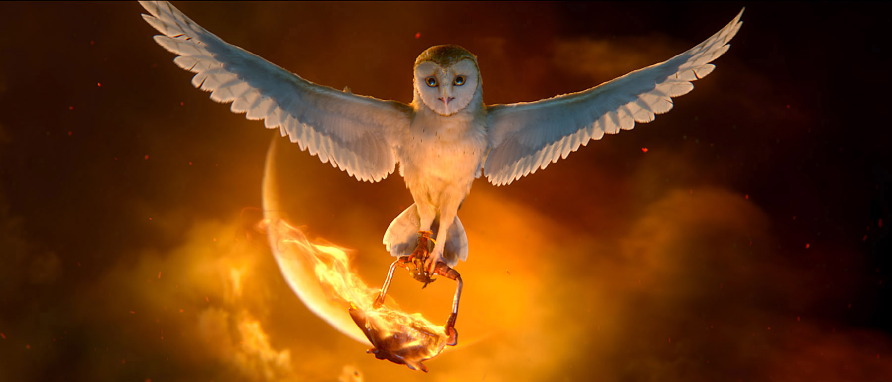 Still of Jim Sturgess in Legend of the Guardians: The Owls of Ga'Hoole (2010)