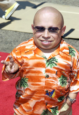 Verne Troyer