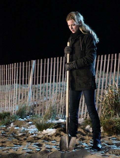 Still of Emily VanCamp in Kerstas (2011)