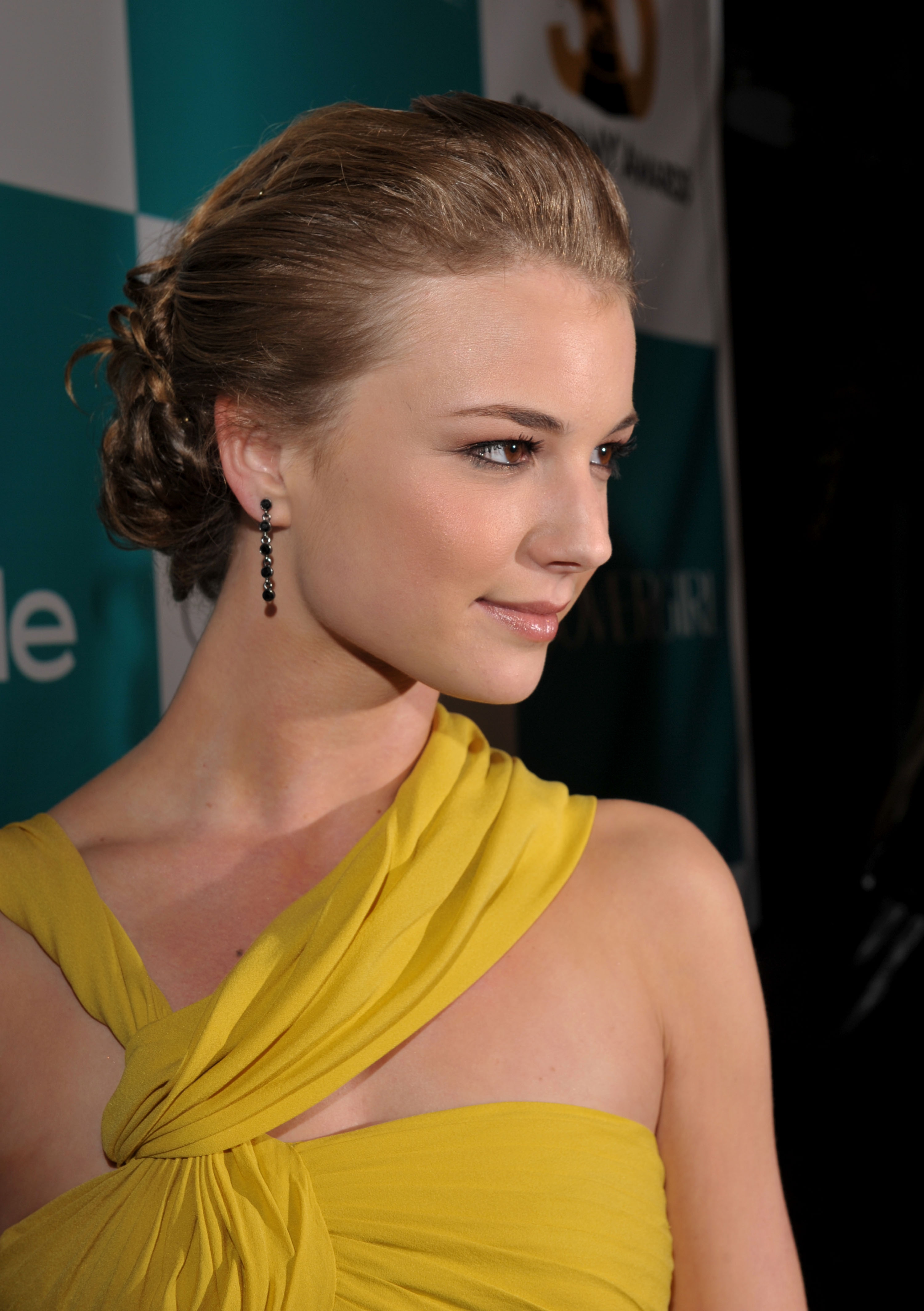 Emily VanCamp