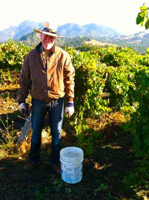 2011 MERLOT HARVEST