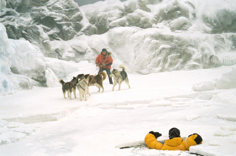 Still of Bruce Greenwood and Paul Walker in Eight Below (2006)