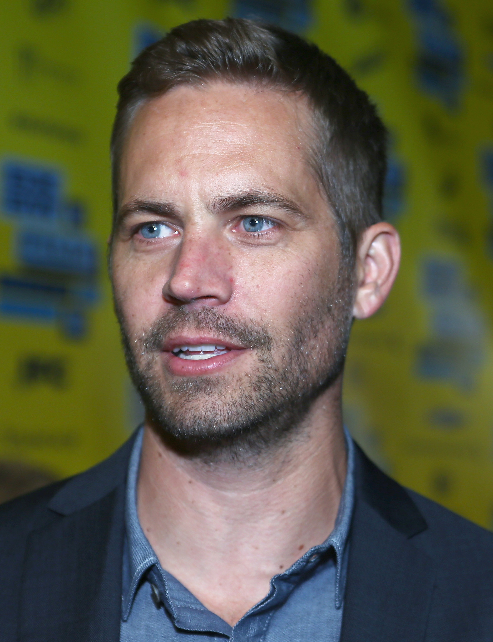 Paul Walker at event of Hours (2013)