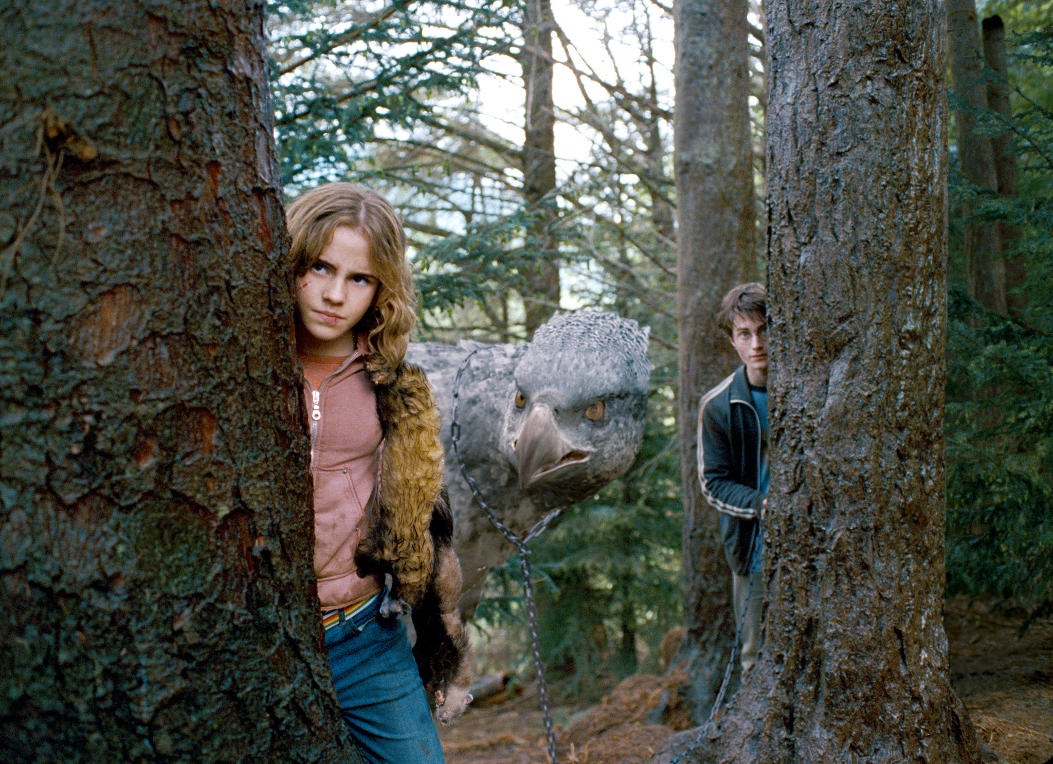 Still of Daniel Radcliffe and Emma Watson in Haris Poteris ir Azkabano kalinys (2004)