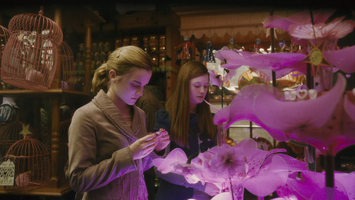 Still of Emma Watson and Bonnie Wright in Haris Poteris ir netikras princas (2009)
