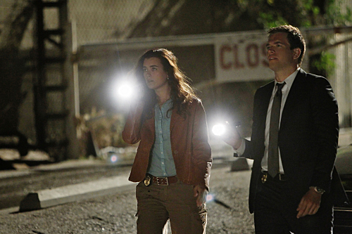 Still of Michael Weatherly and Cote de Pablo in NCIS: Naval Criminal Investigative Service (2003)