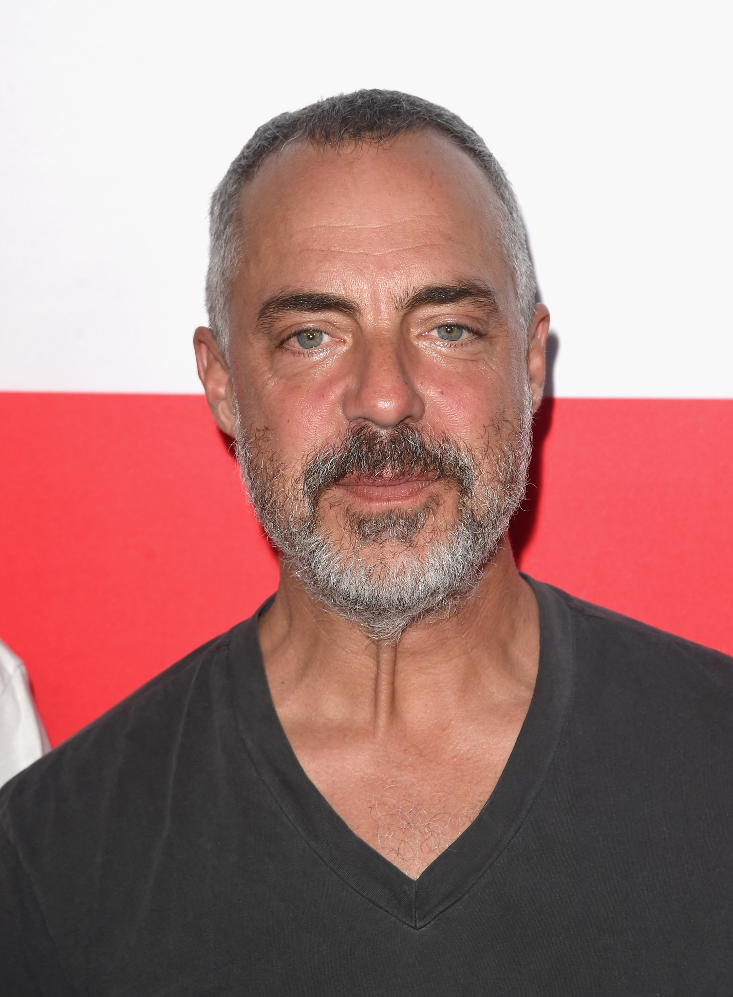 Titus Welliver at event of The Gunman (2015)
