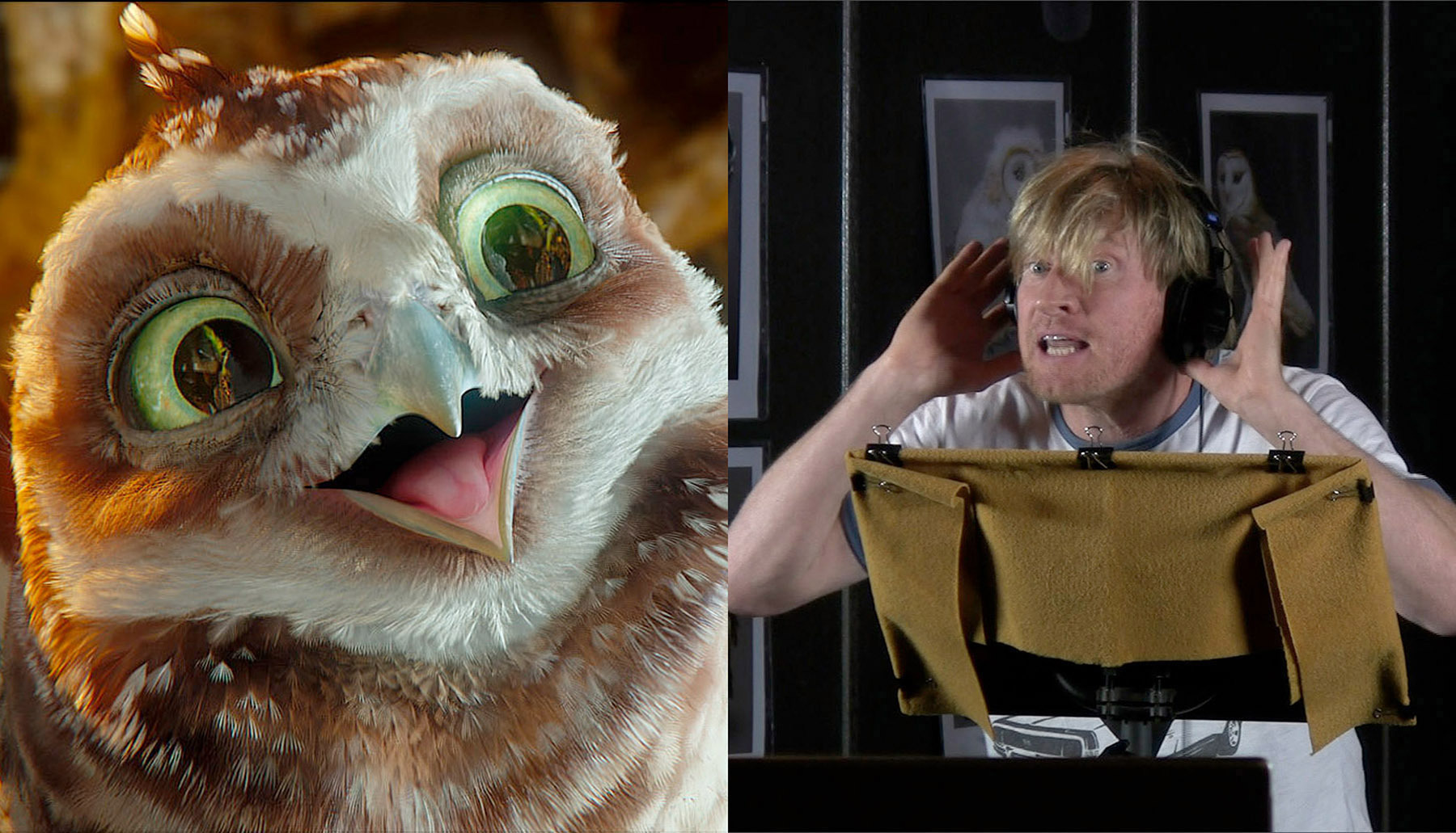 Still of David Wenham in Legend of the Guardians: The Owls of Ga'Hoole (2010)