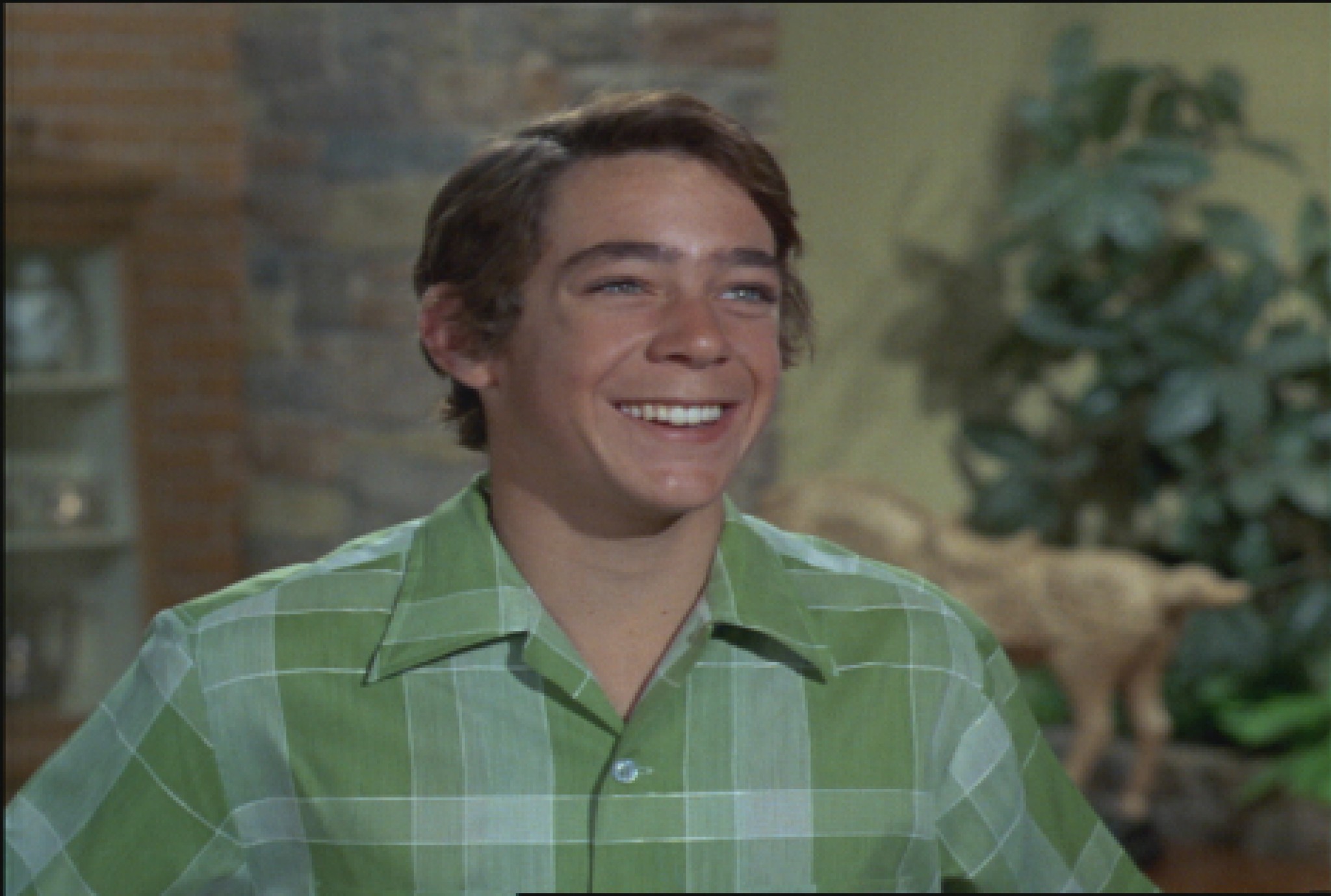 Still of Barry Williams in The Brady Bunch (1969)