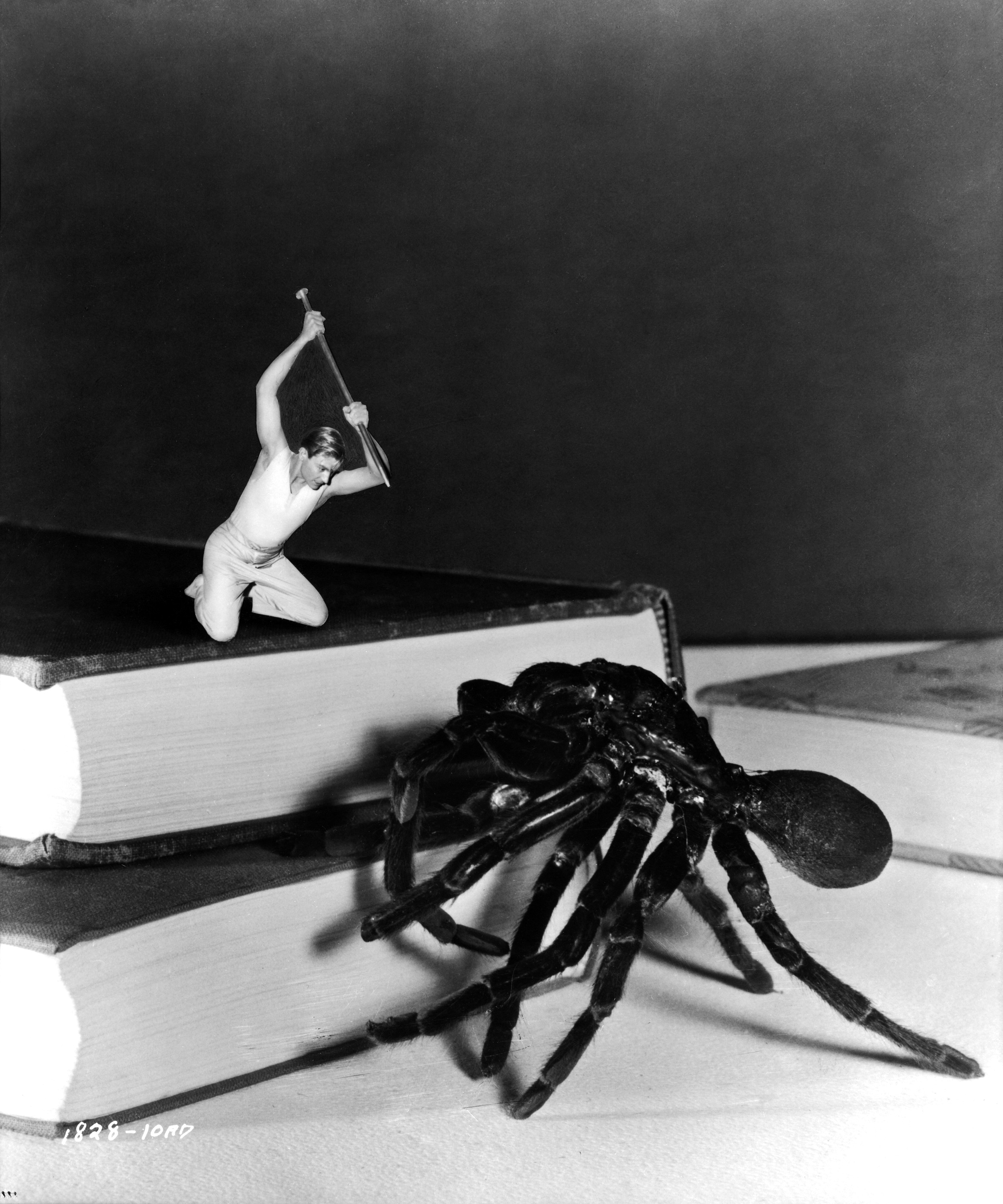 Still of Grant Williams in The Incredible Shrinking Man (1957)