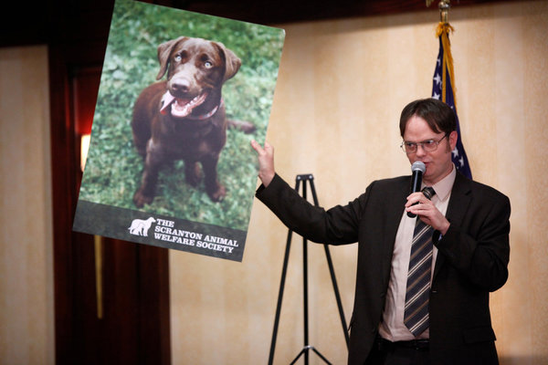 Still of Rainn Wilson in The Office (2005)