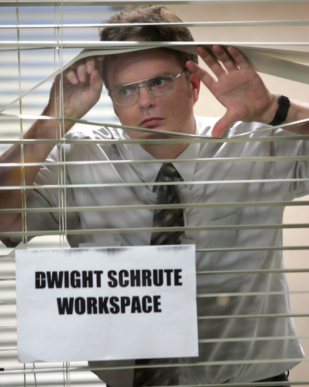 Rainn Wilson in The Office (2005)