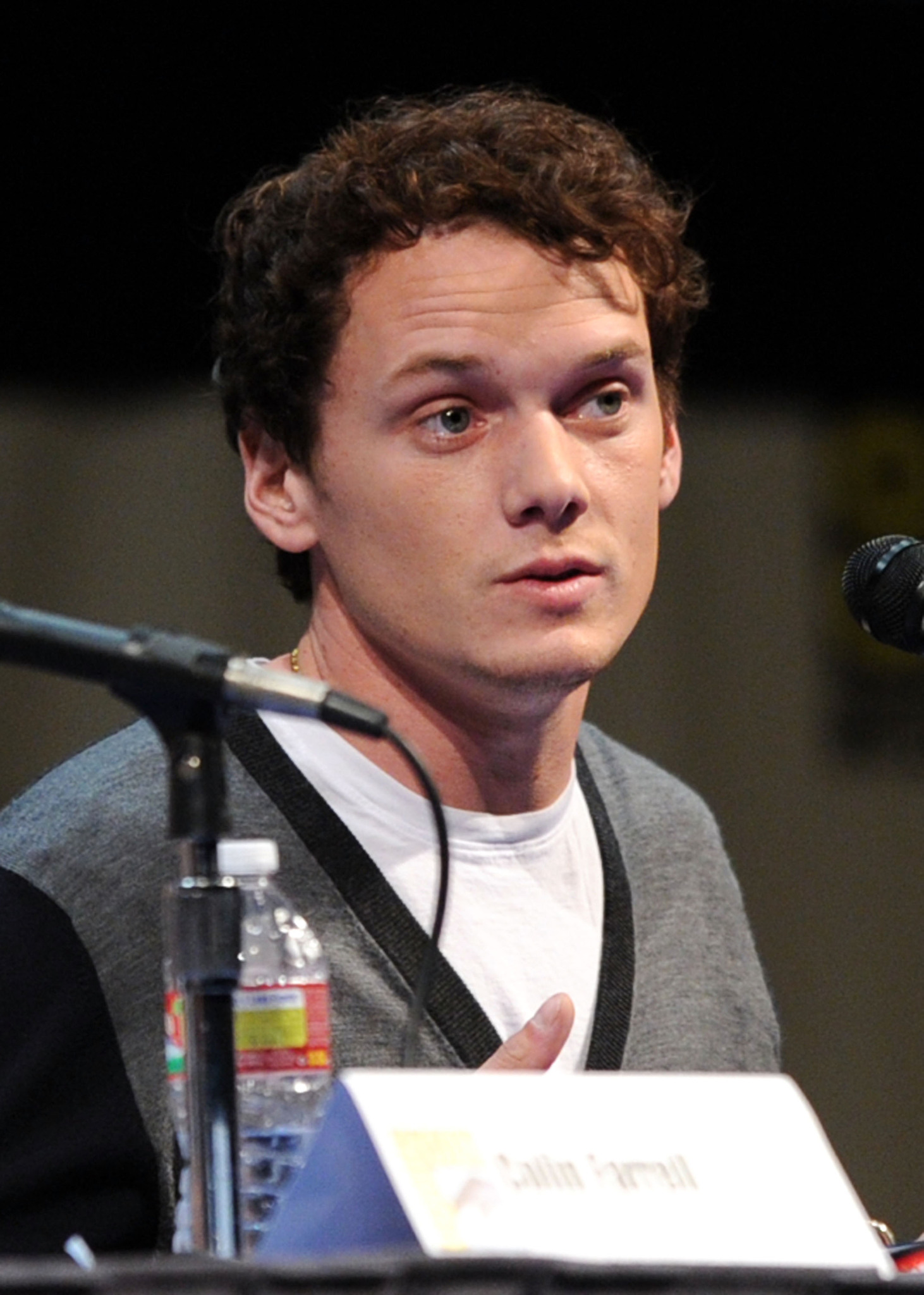 Anton Yelchin