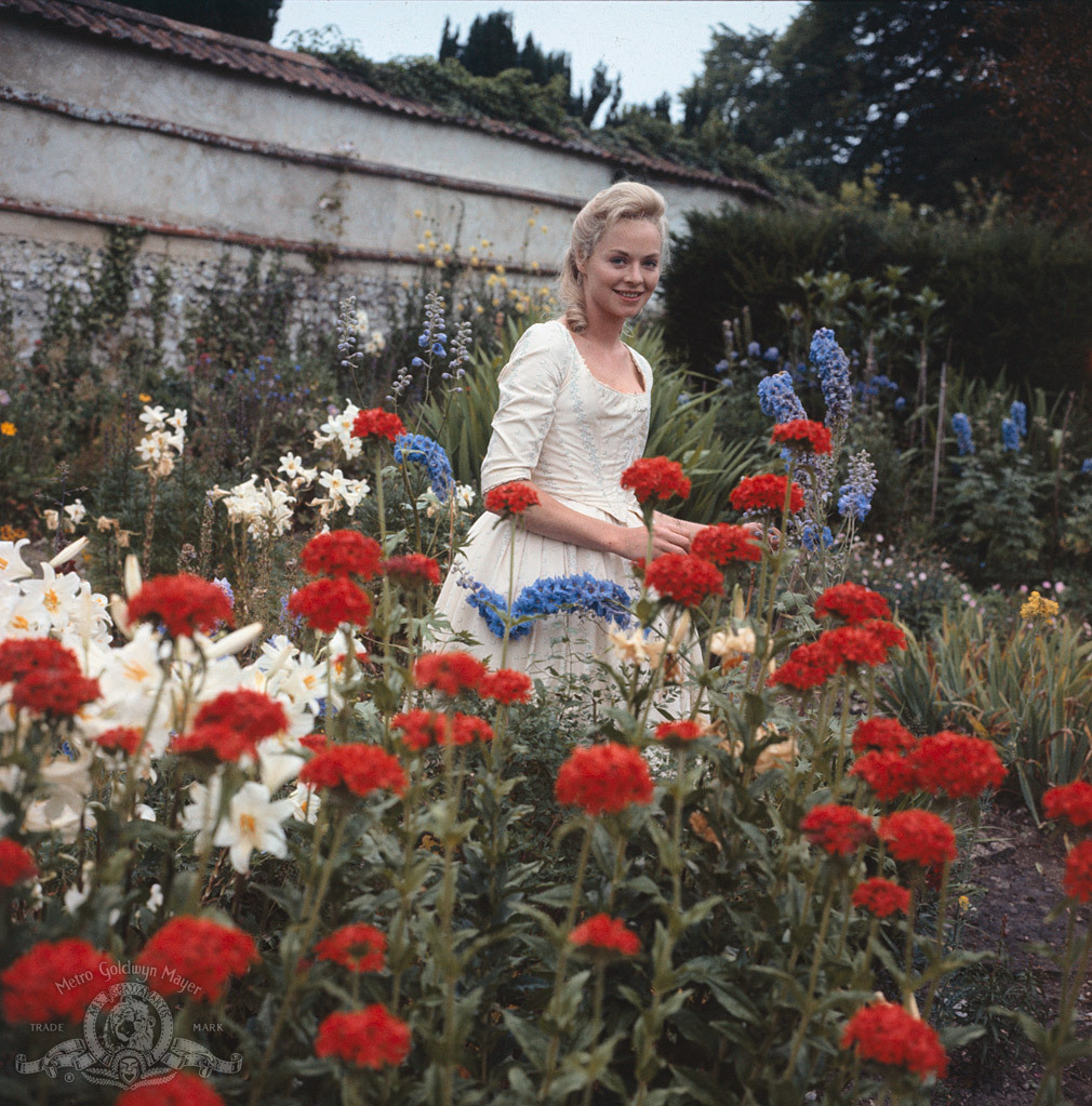 Still of Susannah York in Tom Jones (1963)