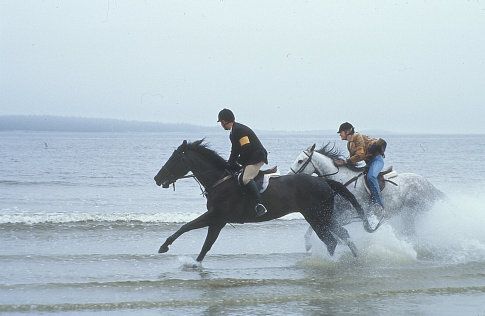 Still of Lindze Letherman and Kevin Zegers in Virginia's Run (2002)