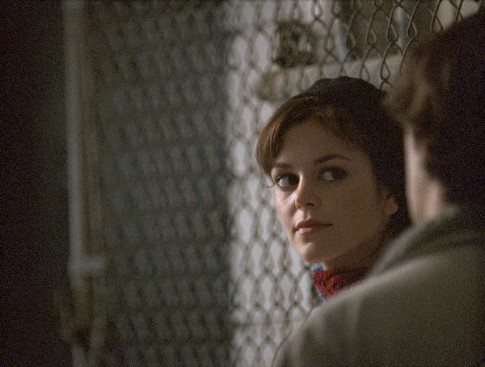 Still of Nora Zehetner in Brick (2005)