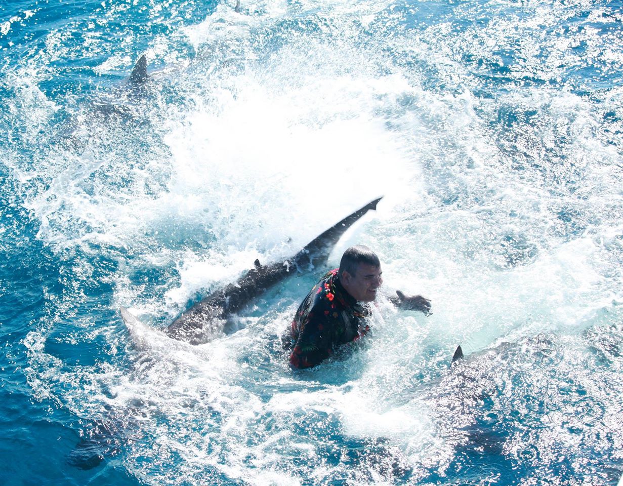 As a producer on the film ISOLATION (directed by Shane Dax Taylor) Daniel Ziriili choose to do double an actor for a stunt with live sharks in the Bahamas (as pictured).