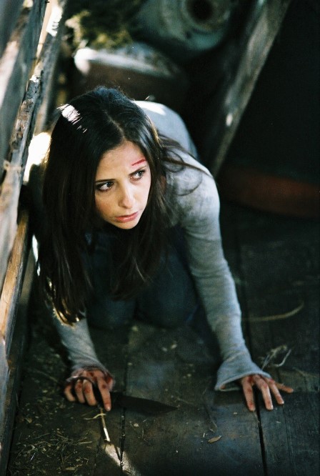 Still of Sarah Michelle Gellar in The Return (2006)