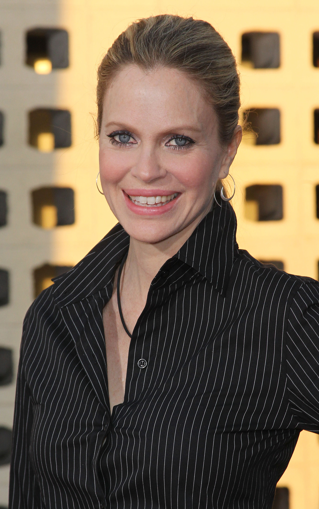 Kristin Bauer van Straten at event of The Newsroom (2012)