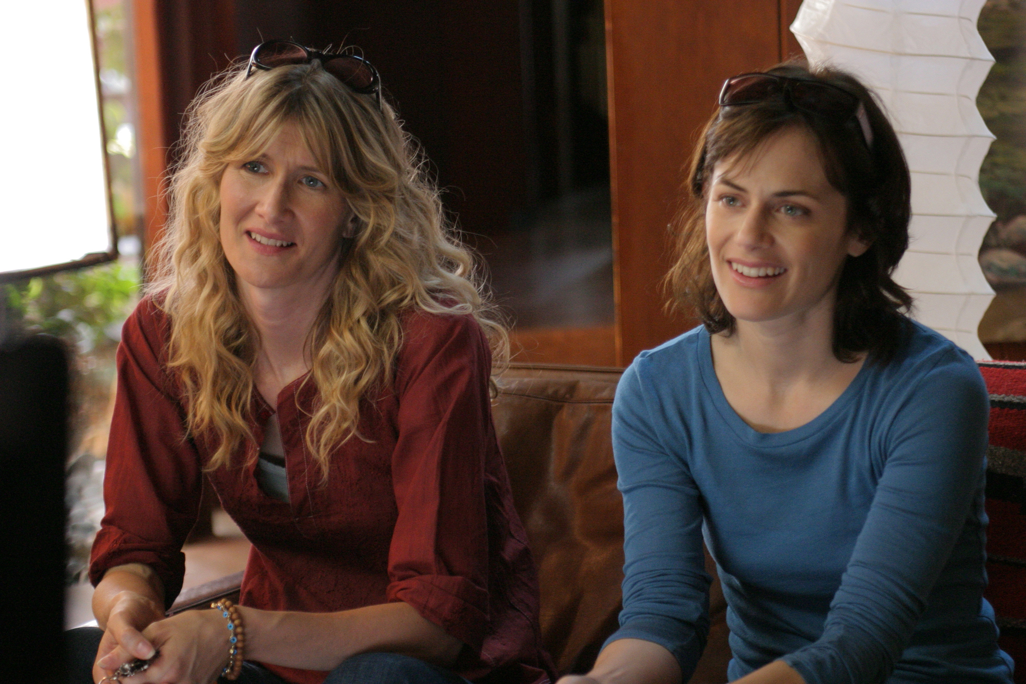 Still of Laura Dern and Sarah Clarke in Happy Endings (2005)