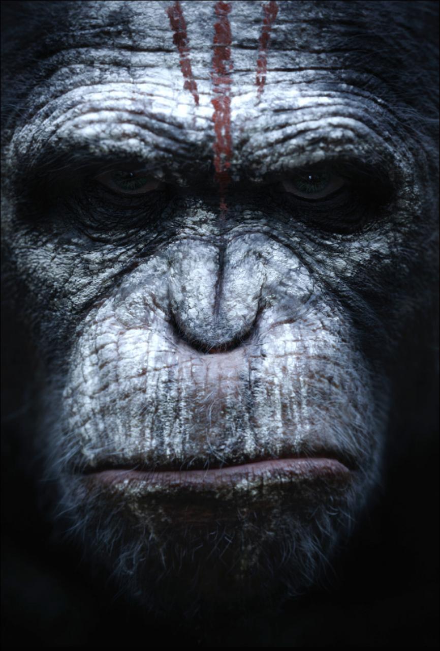 Terry Notary plays Rocket in Dawn of the Planet of the Apes.