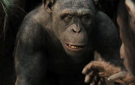 Terry Notary plays Rocket in Rise of the Planet of the Apes.